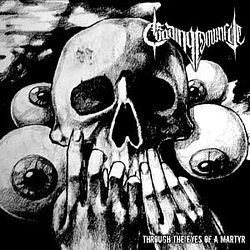 Evading Downfall - Through the Eyes of a Martyr EP альбом