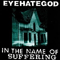 Eyehategod - In The Name Of Suffering альбом
