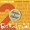 Fatboy Slim - Camber Sands album