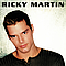 Ricky Martin &amp; Meja - Ricky Martin album