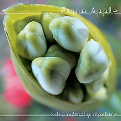 Fiona Apple - Extraordinary Machine альбом