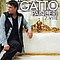Gatto Panceri - 7 vite album