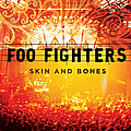 Foo Fighters - Skin and Bones альбом