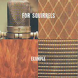 For Squirrels - Example альбом