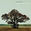 Sam Roberts - We Were Born In A Flame album