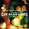 Gin Blossoms - Congratulations...I&#039;m Sorry album