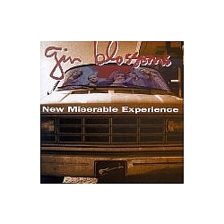 Gin Blossoms - New Miserable Experience (bonus disc) album