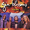 Gin Blossoms - In Bloom album