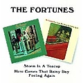 Fortunes - Storm in a Teacup/Here Comes That Rainy Day Feeling Again album