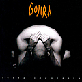 Gojira - Terra Incognita альбом