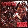 Gorerotted - Mutilated in Minutes альбом