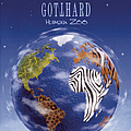Gotthard - Human Zoo album