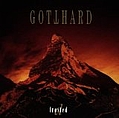 Gotthard - D Frosted альбом