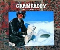 Grandaddy - The Crystal Lake album