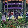 Grateful Dead - Dozin&#039; at the Knick album