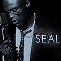 Seal - Soul album