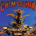 Grimskunk - Autumn Flowers Rerolled album