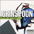 Grinspoon - Pushing Buttons album