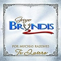Grupo Bryndis - Por Muchas Razones Te Quiero album