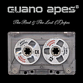 Guano Apes - The Best and The Lost (T)apes album