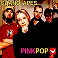 Guano Apes - Pinkpop 2000 альбом