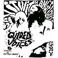 Guided By Voices - Tonics &amp; Twisted Chasers album