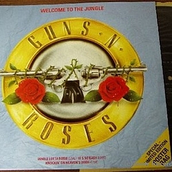 Guns N&#039; Roses - In the Studio album
