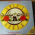Guns N&#039; Roses - In the Studio альбом