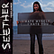 Seether - Disclaimer album