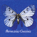Francesco Guccini - Parnassius Guccinii альбом