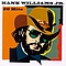 Hank Williams Jr. - Hank Williams Jr. (20) Hits альбом