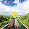 Hearts Grow - Road album
