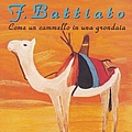 Franco Battiato - Come un cammello in una grondaia альбом
