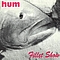 Hum - Fillet Show альбом