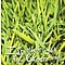 Ian Moore - Ian Moore&#039;s Got the Green Grass album