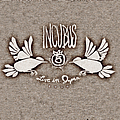 Incubus - Live in Japan 2004 album