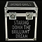 Indigo Girls - Staring Down The Brilliant Dream album