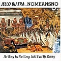 Jello Biafra - The Sky Is Falling album