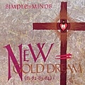 Simple Minds - New Gold Dream (81-82-83-84) album