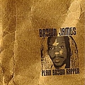 James Brown - Plain Brown Rapper album