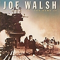 Joe Walsh - You Bought It, You Name It album