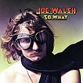 Joe Walsh - So What album