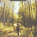 John Denver - The Country Roads Collection album