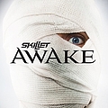 Skillet - Awake album