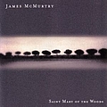 James McMurtry - Saint Mary of the Woods album