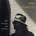 James McMurtry - Walk Between the Raindrops album