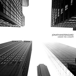 Jonathan Steingard - Under the Canopy album