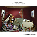 Sonic Youth - The Destroyed Room: B-Sides And Rarities album