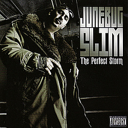 Junebug Slim - The Perfect Storm альбом