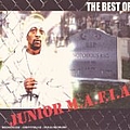Junior M.A.F.I.A. - The Best of Junior M.A.F.I.A. album